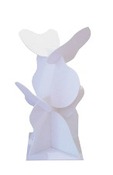 Karton - schuimkarton - a4 - 1 cm -set/10