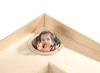 Kast - Haba - Grow Up - hoekkast kikkeroog - per stuk