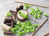 Stem - houtbewerking - Haba - terra kids - starter - constructieset