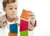 Constructie - blokken - pisa blokken - set van 25