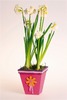 Hout - bloempot - rechte rand - p/st