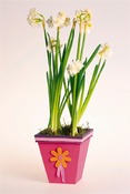 Hout - bloempot - rechte rand - p/st