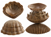 Tactiel - tactiele schelpen 36st
