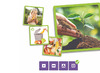 Spel - Akros Maxi-Sequences Why Do We Recycle? - Waarom Recycleren? - per spel