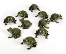 TAALSPELLEN - TTS - TALKING FROGS