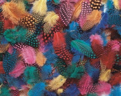 Decoratie - Pluimen - Fantasieveren - Set Van 10 G Assorti