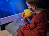 Nachtlampje - Babymoov - projectie nachtlampje - white-noise - Basile - per stuk