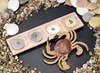 Taalspellen - Yellow Door 4-Pebble Word-building Tray - woordopbouwer - 4-vakssorterschaal - per stuk