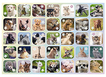 Beloningsstickers - fantasie - lentedieren
