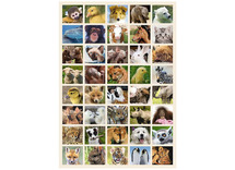 Beloningsstickers - De Stulp - fantasie - babydieren