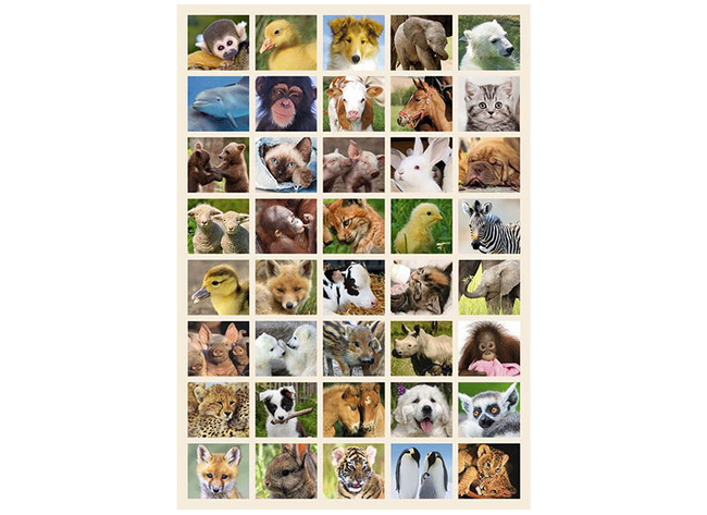 Beloningsstickers - De Stulp - Fantasie - Babydieren