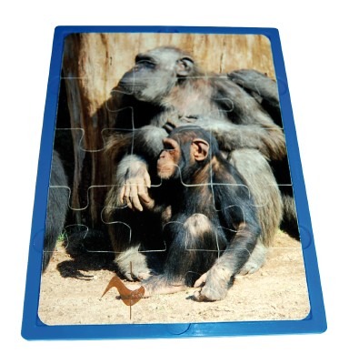 Puzzel - Dieren En Hun Jong - Kunststof - Per Stuk