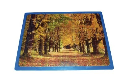 Puzzel - De 4 Seizoenen - Kunststof - Per Stuk