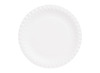 Karton - borden in karton - rond - groot - 21 cm - set van 100