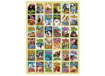 Beloningsstickers - teksten -dieren allerlei