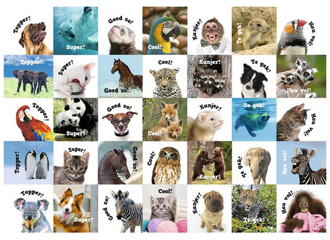 Beloningsstickers - De Stulp - Met Teks - Motivatiedieren