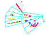 Kleur en vormsorteren - rijgen - EDX - Funplay - vormkralen rijgen - per spel