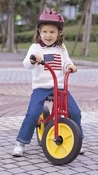 Tweewieler - Weplay - per stuk