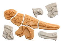 Ontdekkingsmateriaal - Yellow Door Dig & Discover Ankylosaurus & Tyrannosaurus Rex - dino's - fossielen - per set