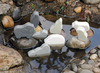 Figuren - Yellow Door Little Lands Polar - pooldieren - set van 8