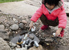 Figuren - Yellow Door Little Lands Polar - pooldieren - set van 8
