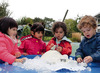 Figuren - Yellow Door Little Lands Polar - pooldieren - set van 8