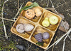 Modderkeuken - Yellow Door Feast of Nature - accessoires - herfstvruchten - set van 8