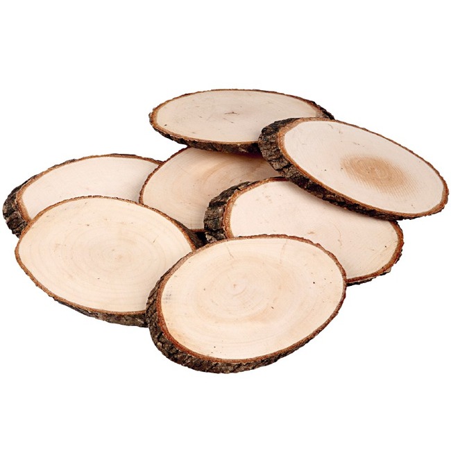 Schijven - Hout - Boomstam - Ovaal - 11 X 7,5 Cm X 8 Mm - Set Van 12