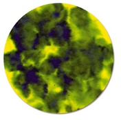 Crea-Papier - Kleurabsorberend - Rond - Set/100