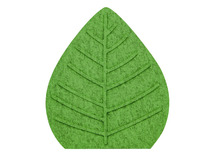 Quadro - Pet-Paneel - Medium Blad - P/St