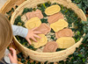 Wiskunde - telinitiatie - Yellow Door Feels-Write Number Stones - cijferstenen - set van 10