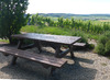 Picknicktafel -gerecycleerd kunststof - serengeti - 200 cm - per stuk