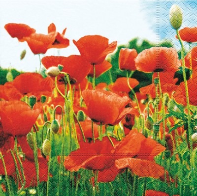 Servietten-bloemen