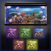 Snoezelhoek - Grote Kwallen Aquarium