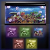 Snoezelhoek - grote kwallen aquarium