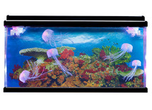 Snoezelhoek - grote kwallen aquarium
