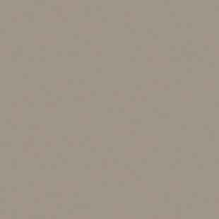 Inrichtingsmateriaal - Tapijt - Vinyl - Rond - Per Stuk
