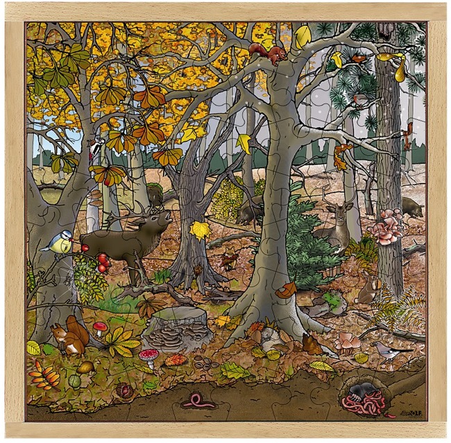 Puzzel-het Bos-herfst Winter