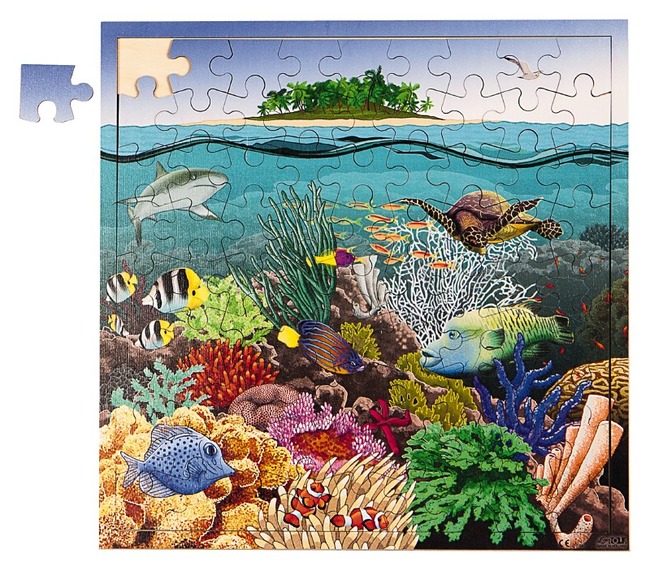 Puzzel-koraalrif