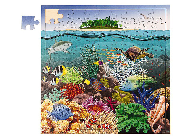 Puzzel-koraalrif