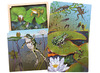 Puzzel - Interactief - Levensloop - De Kikker
