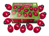 Spel - rekenspel - Yellow Door Ladybug Counting Pack - telstenen - lieveheersbeestjes - per spel
