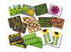 Spel - rekenspel - Yellow Door Ladybug Counting Pack - telstenen - lieveheersbeestjes - per spel