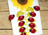 Spel - rekenspel - Yellow Door Ladybug Counting Pack - telstenen - lieveheersbeestjes - per spel