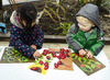 Spel - rekenspel - Yellow Door Ladybug Counting Pack - telstenen - lieveheersbeestjes - per spel