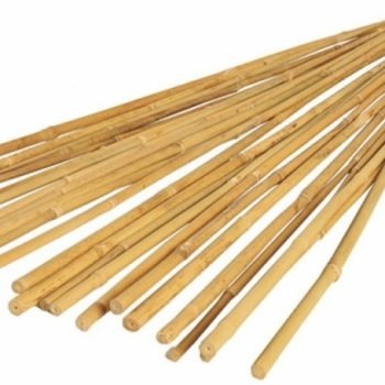 Kampen Bouwen - Bamboo Stokken - Pak Van 20 Stokken