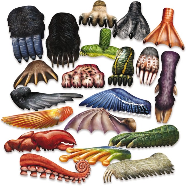 Verf-verfkrassers-dieren-20st