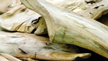 Natuurlijke Decoratiematerialen - Drift Wood 500Gr