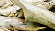 Natuurlijke decoratiematerialen - drift wood 500gr