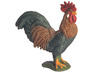 Dieren-erf
